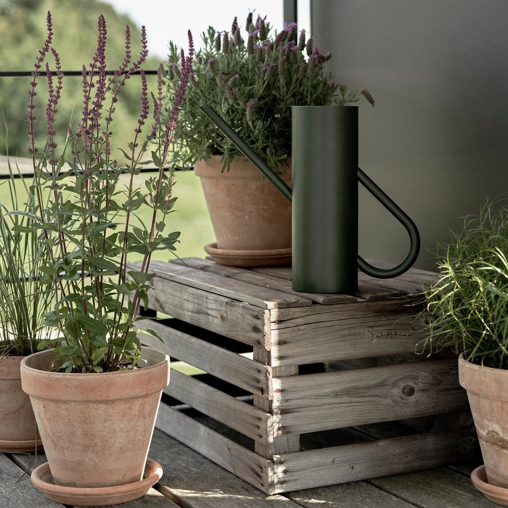 Bloom Watering Can - Pine By Stelton