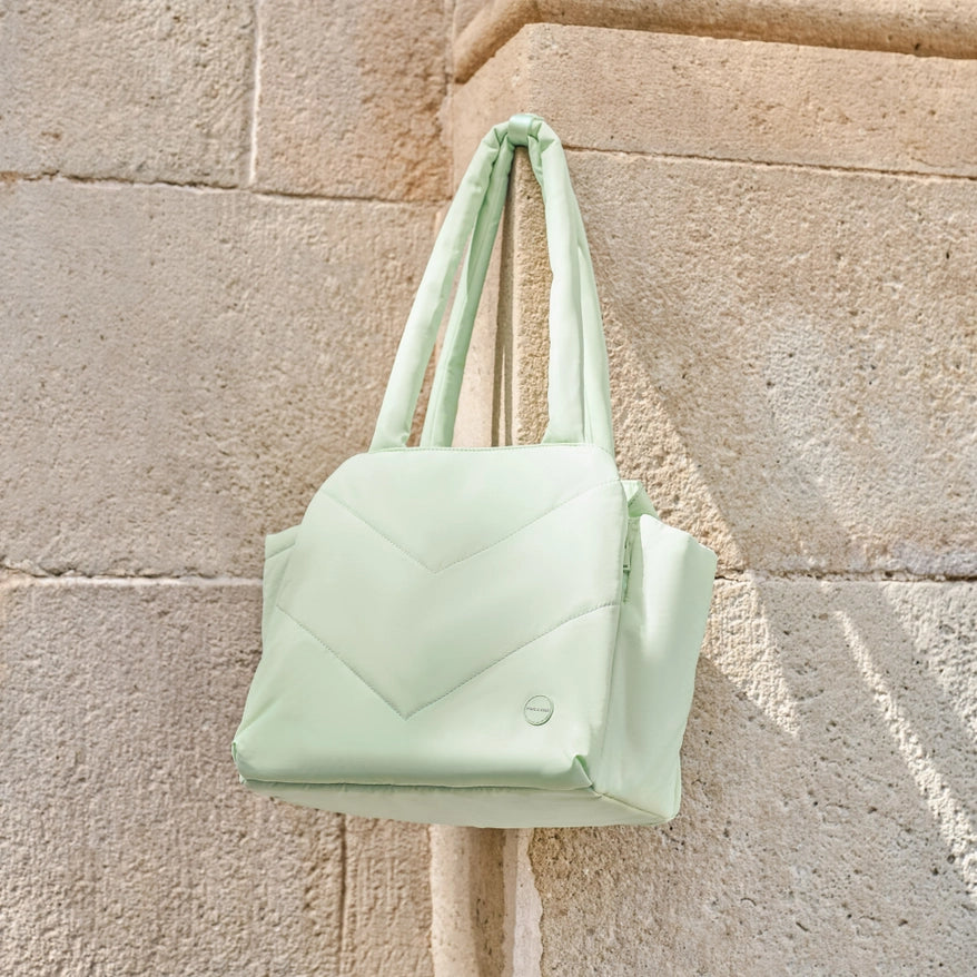 Destination Pet Carrier Tote