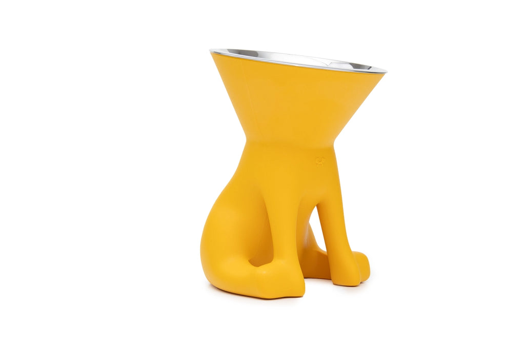 Elizabeth: Raised Dog Bowl