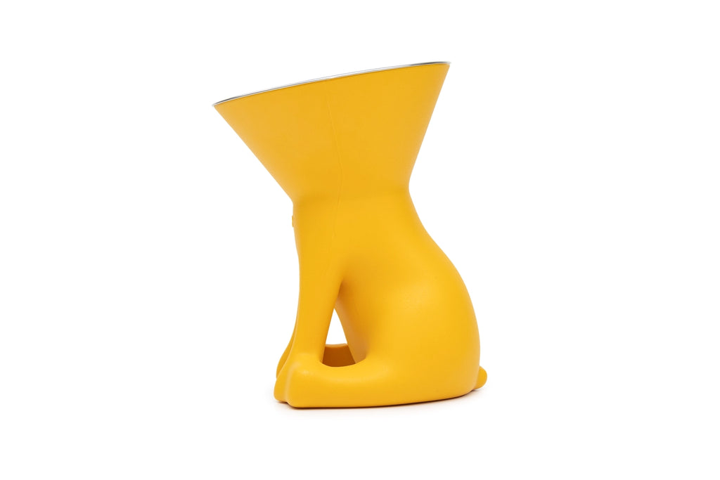 Elizabeth: Raised Dog Bowl