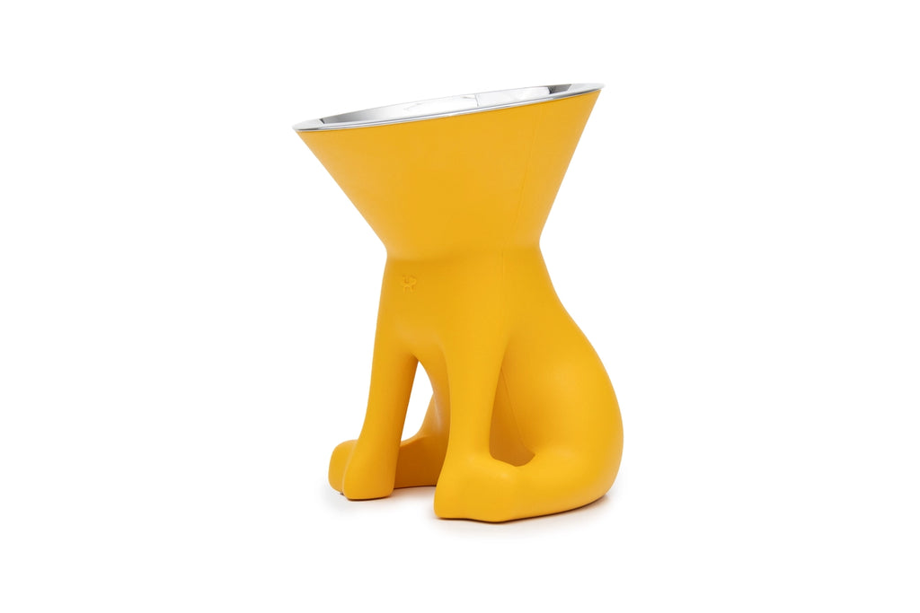 Elizabeth: Raised Dog Bowl